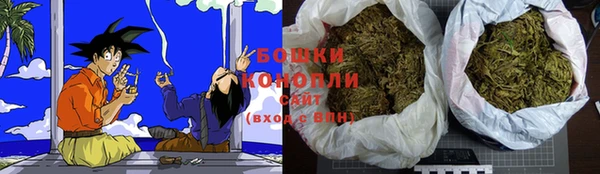 кокс Елизово