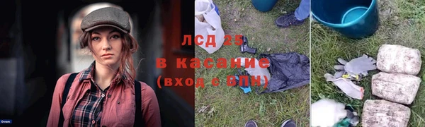 гидропоника Ельня