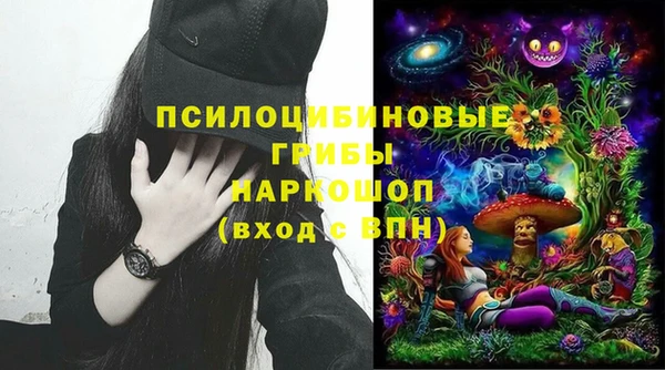 гидропоника Ельня
