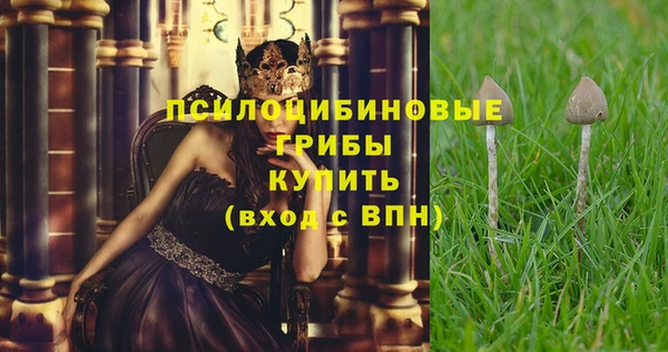 гидропоника Ельня