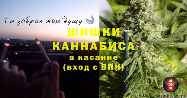 гидропоника Ельня