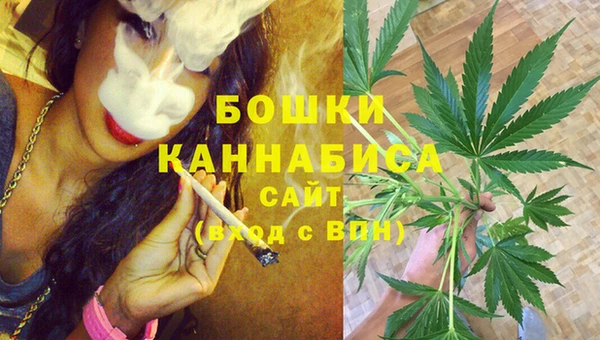 Альфа ПВП Елабуга
