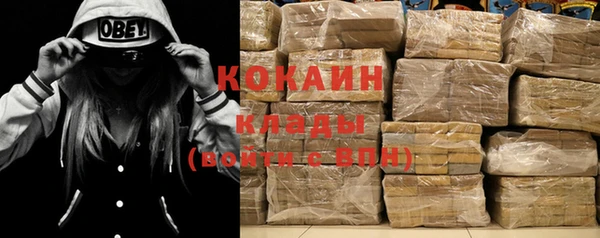 кокс Елизово