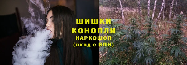гидропоника Ельня