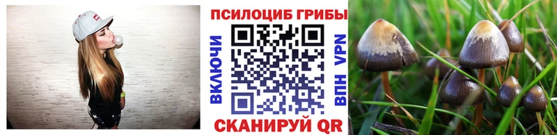 Купить  Искитим  Псилоцибиновые грибы MAGIC MUSHROOMS 